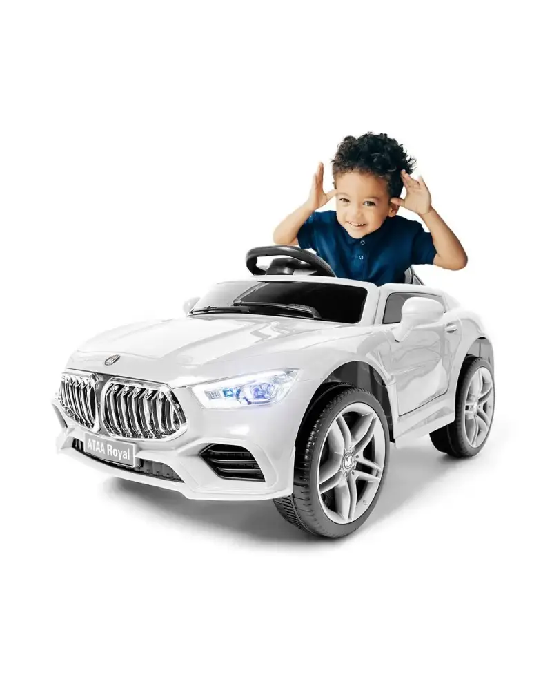 ataa-royal-12v (5).webp