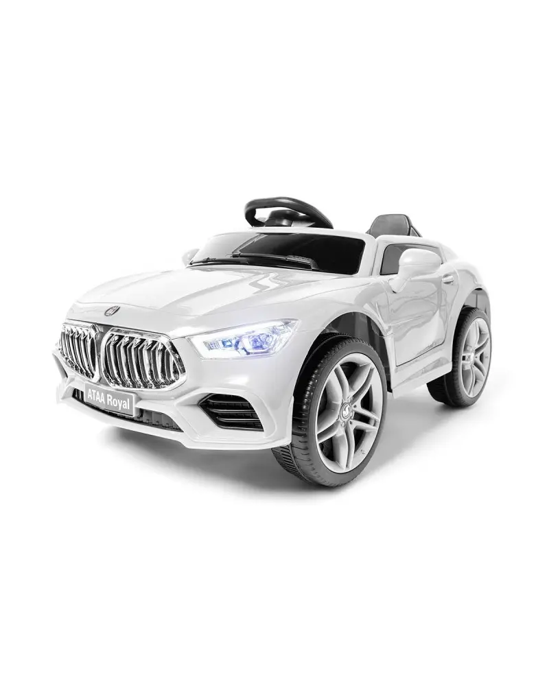 ataa-royal-12v (8).webp