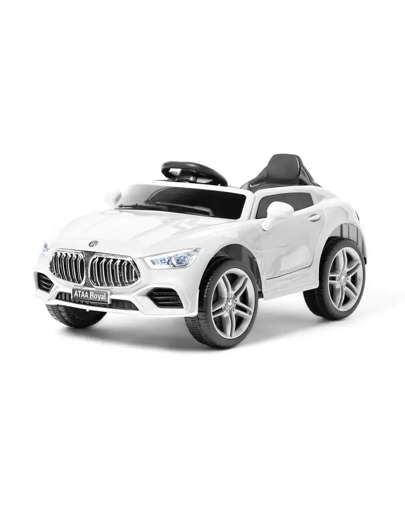 ataa-royal-12v (6).webp